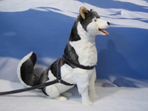 Animated huskey dog - Dublin Display Co