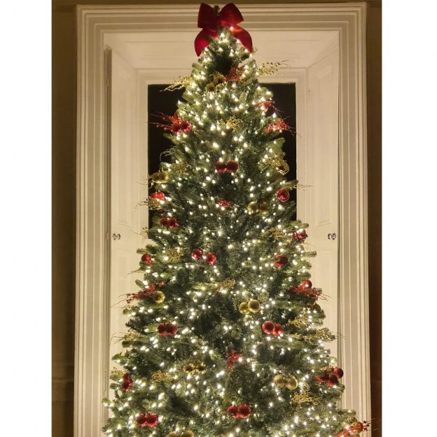 christmas tree Dublin, Christmas tree Ireland, Pre lit Christmas tree